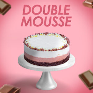 Double Choc Mousse Cake