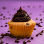 Choc-Chip (Bundle)