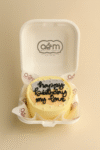Bento Cake - B013