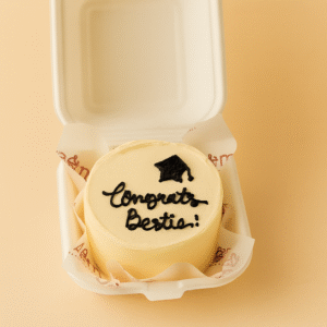 Bento Cake - B020